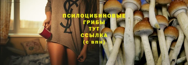 молекула духа Пролетарск