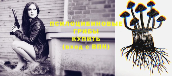 молекула духа Пролетарск